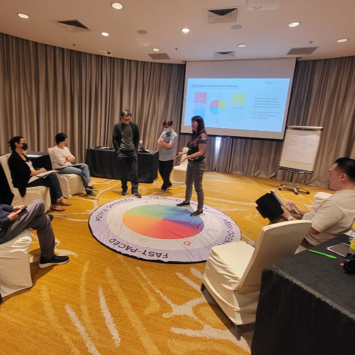 Discflow® Business Workshop