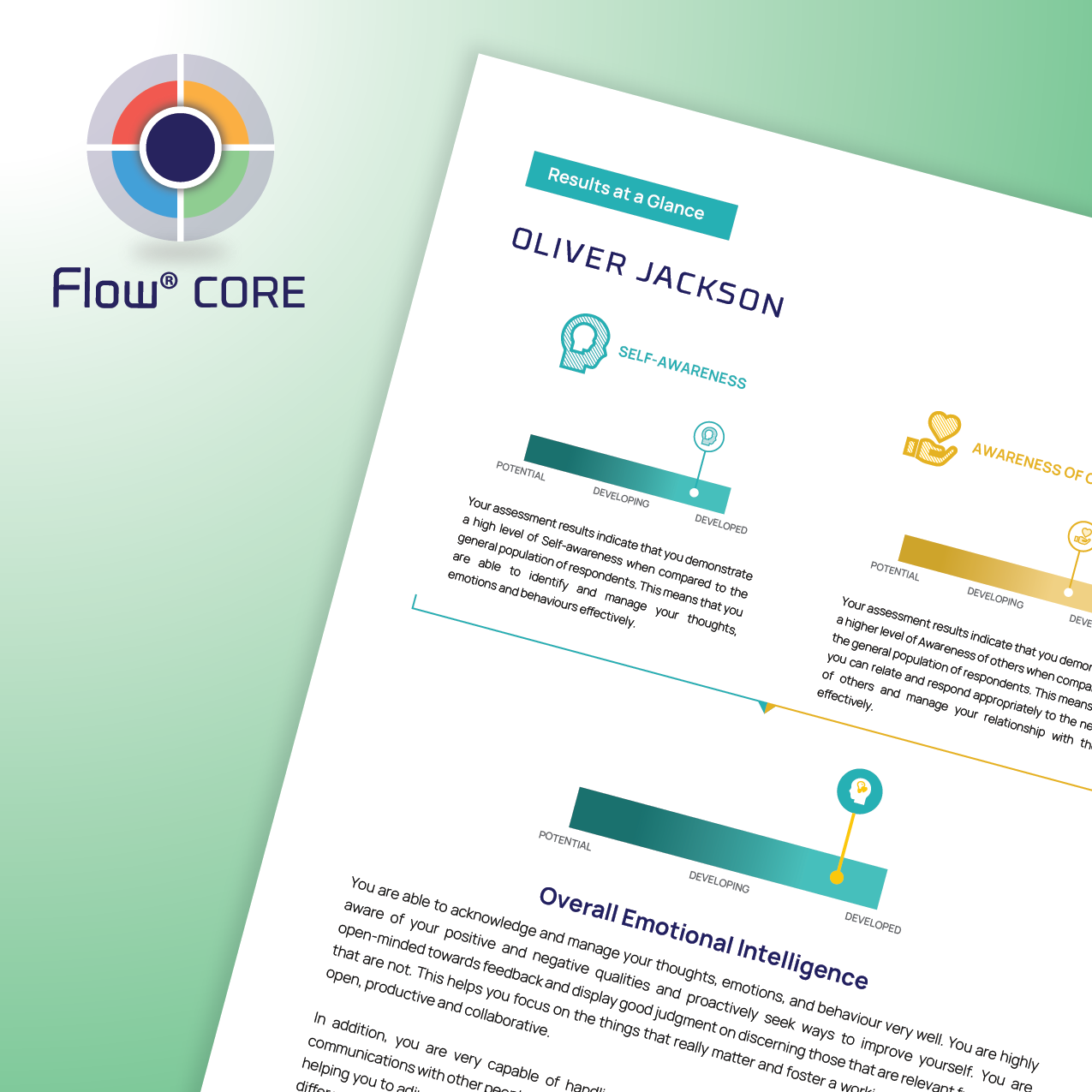 DISC Flow® CORE