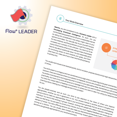 DISC Flow® LEADER