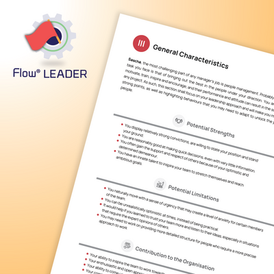 DISC Flow® LEADER